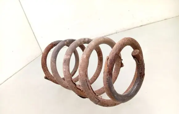 Hyundai Santa Fe Rear coil spring 