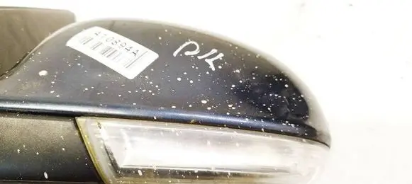 Volkswagen Golf V Mirror indicator light 