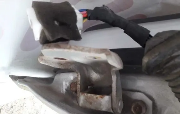 Rear door lower hinge