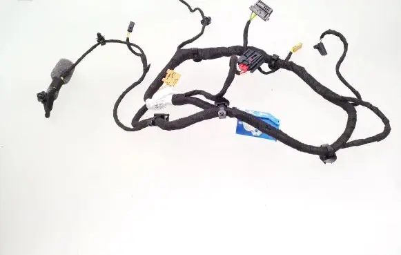 Porsche Taycan 9J1 Front door wiring loom 9J1971161EL