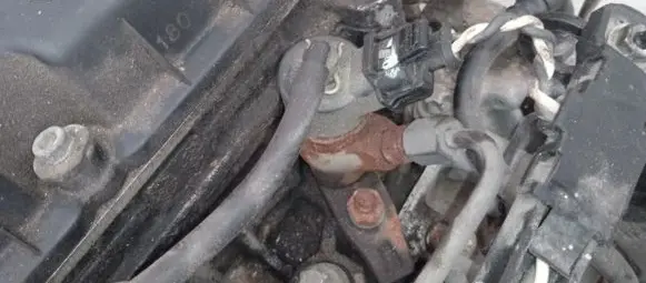 Peugeot 406 Fuel injector 0445110008 9635196580