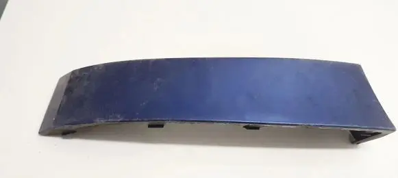 Rear/tail light trim molding