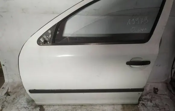 Skoda Octavia Mk2 (1Z) Front door baltos