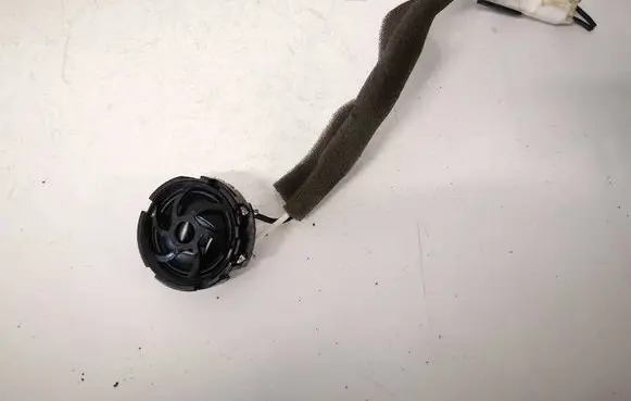 Jaguar XF Front door speaker AW9318808AC