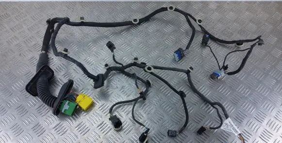 Peugeot 208 Front door wiring loom 9829141580