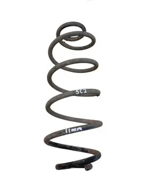 Rear coil spring