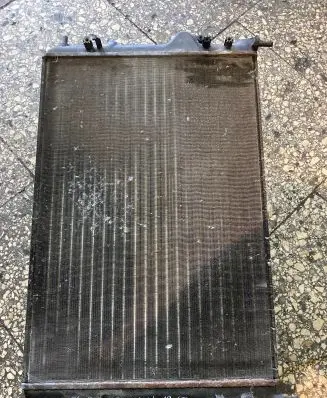Renault Scenic I Coolant radiator TH042H53