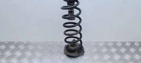 Rear coil spring