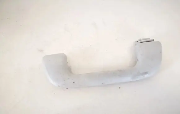 Front interior roof grab handle