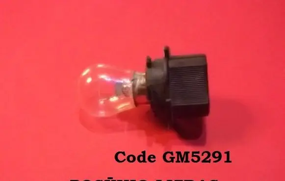 Mitsubishi Pajero Front indicator light GM5291