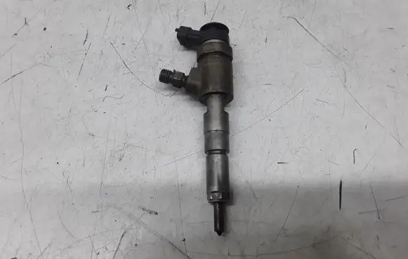 Peugeot 206 Fuel injector 9641496180 0445110075