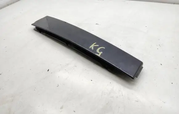 Other rear door trim element