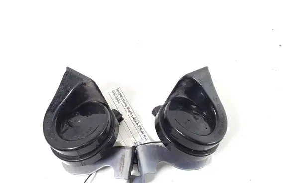 Ford Mach-E I Horn signal