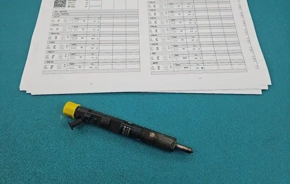 Renault Scenic II - Grand scenic II Fuel injector 28232248 IMPRK1585586
