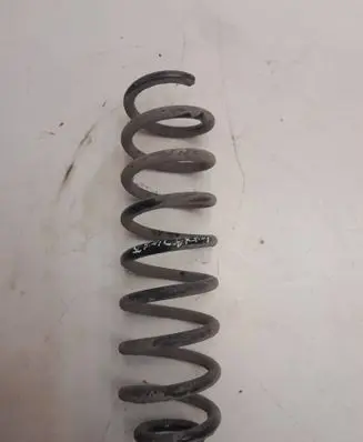 Rear coil spring