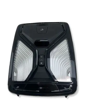 BMW X5 G05 Front seat light 7910960