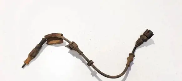 Opel Signum Other wiring loom