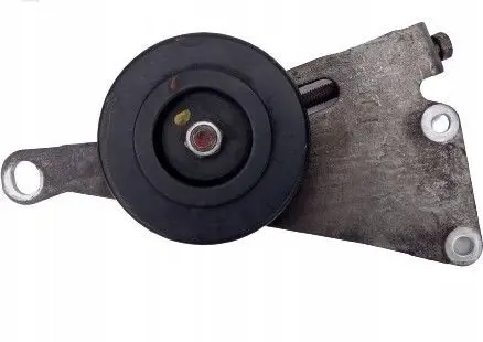 Nissan 350Z Power steering belt tensioner RANZPANNSE