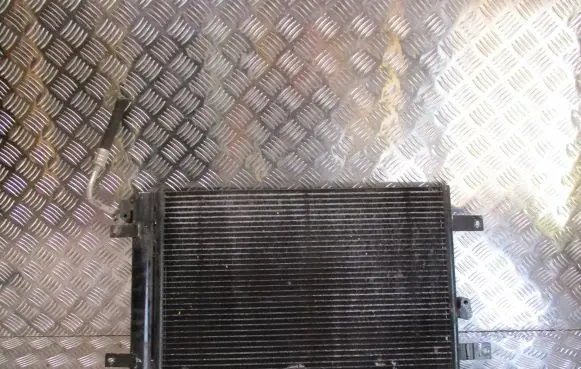 Seat Alhambra (Mk1) Air conditioning (A/C) radiator (interior) 