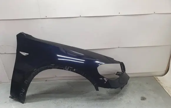BMW X5 E70 Fender