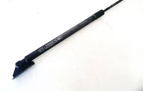 Tailgate/trunk strut/damper