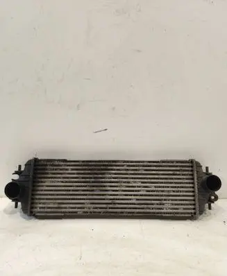 Renault Trafic II (X83) Intercooler radiator 7700312903 91166035