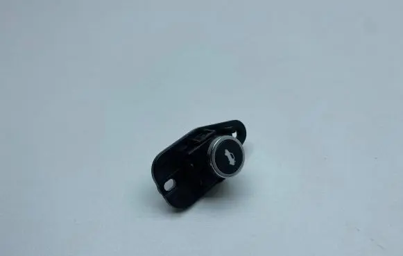 Dodge Charger Tailgate opening switch 0202772AG