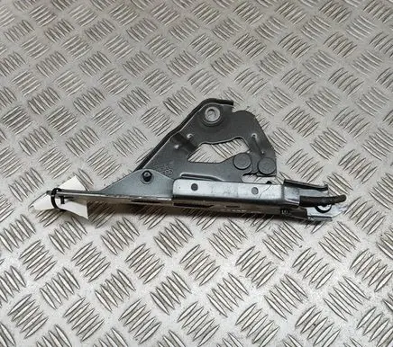 Audi E-tron GT Engine bonnet/hood hinges 4J3823295A