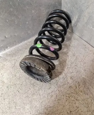 Rear coil spring