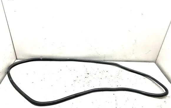 BMW X6 E71 Rubber seal rear door 7195442