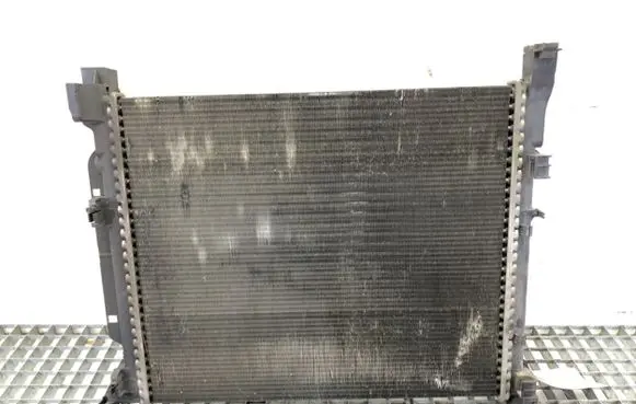 Renault Kangoo II Coolant radiator 8200455801
