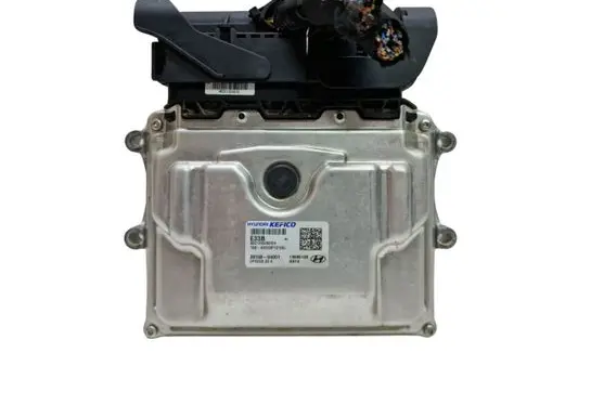 Hyundai Kona I Engine control unit/module 3910804001