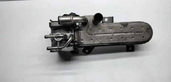 Volkswagen Golf V EGR valve cooler 038131513AD