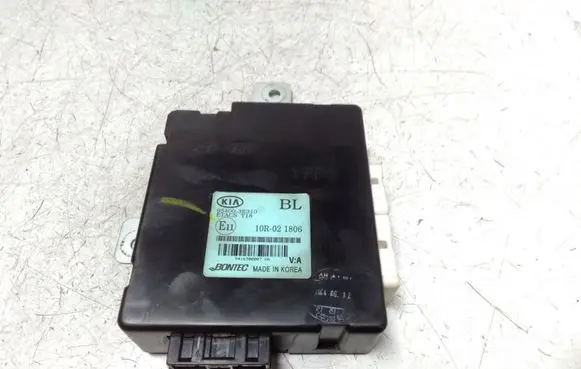 Door central lock control unit/module