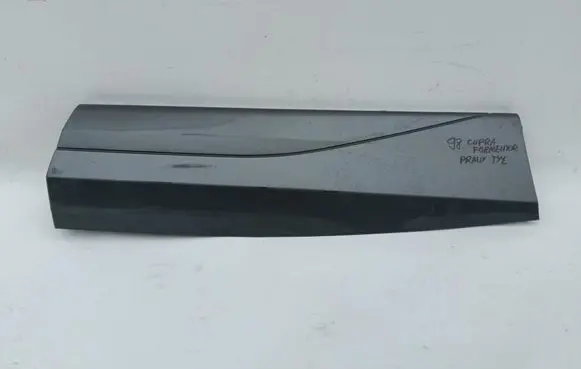 Cupra Formentor Rear door trim (molding) 5FF854950