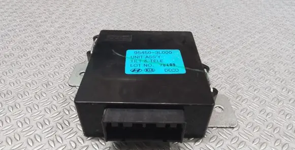 Hyundai Grandeur Other control units/modules 954503L000