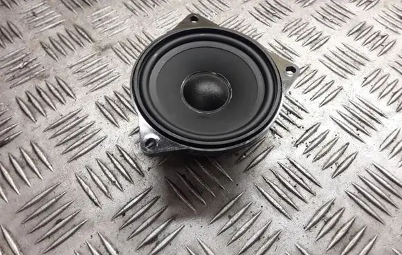 BMW X5 E70 Front door speaker 6513915186401 430407859841