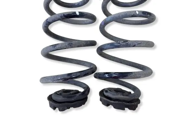 Renault Zoe Rear coil spring 
