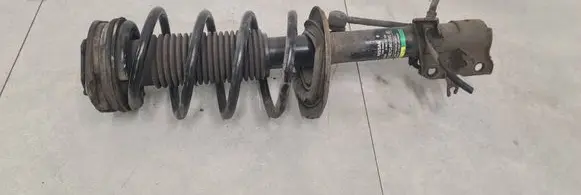 Nissan Qashqai Front shock absorber/damper 54302BR00B 824903007720