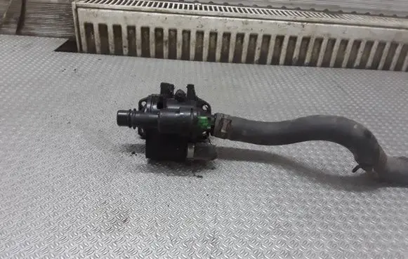 Thermostat/thermostat housing