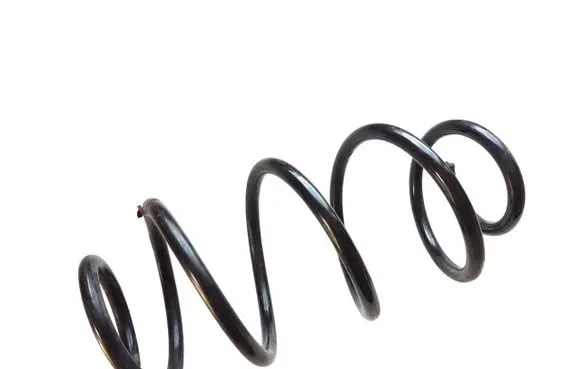 Rear coil spring