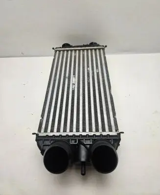 Peugeot 2008 II Intercooler radiator 9824742280