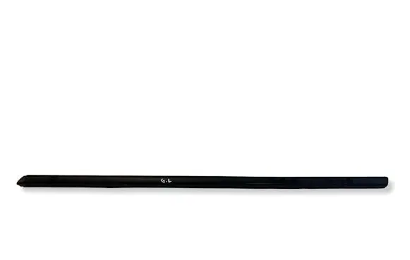 Honda Insight Rear door glass trim molding 