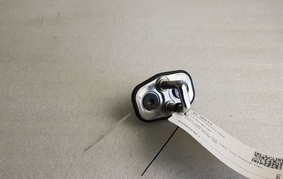 Jeep Avenger Front door lock loop/hook striker 9842996780