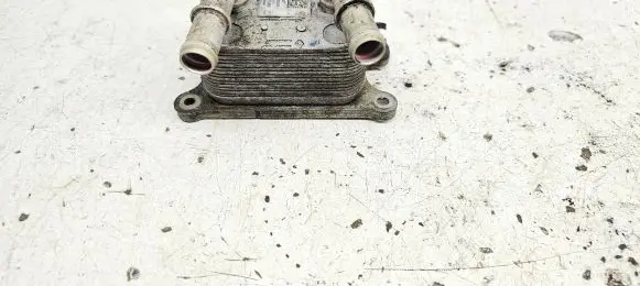 Renault Captur Oil filter mounting bracket 213052032R