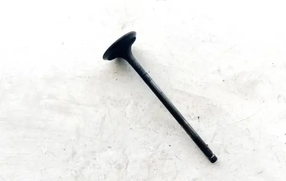 Subaru Outback Valve 