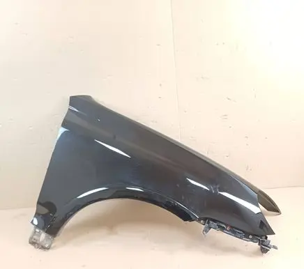 Porsche Cayenne (9PA) Fender
