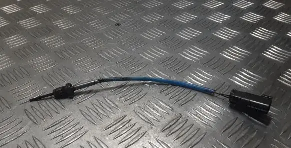 Exhaust gas temperature sensor