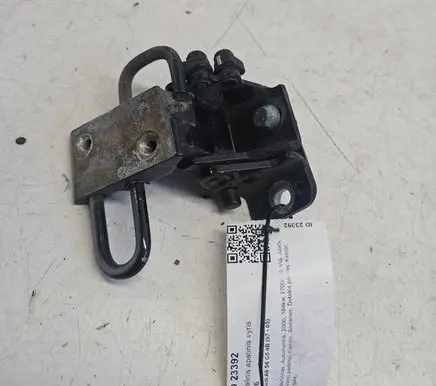 Rear door lower hinge