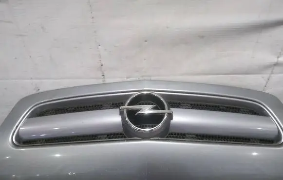 Opel Signum Front grill 